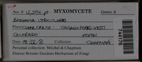 Image Associated With the Occurence